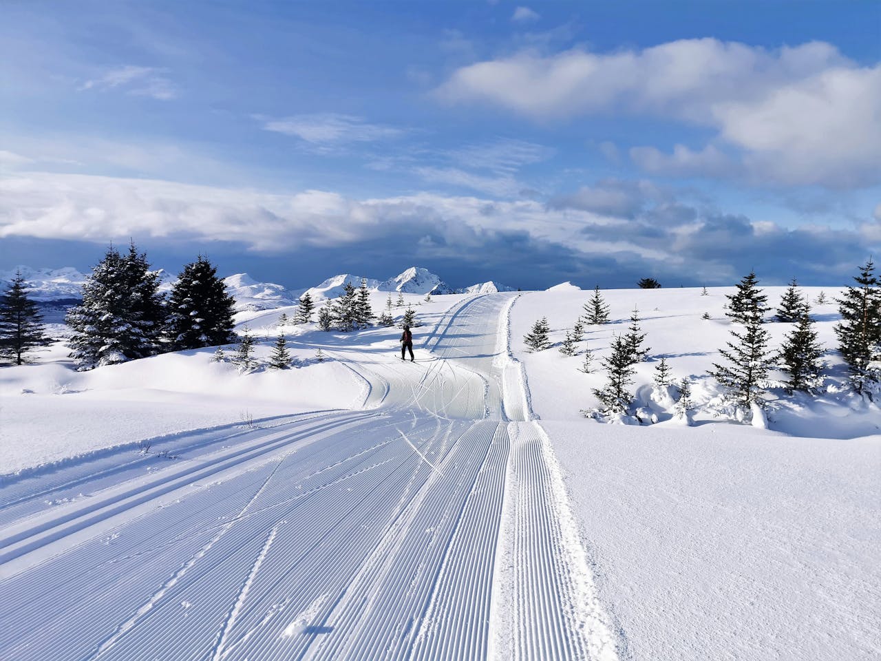 A lone skier on a picturesque snow-covered trail in Nordland, Norway.